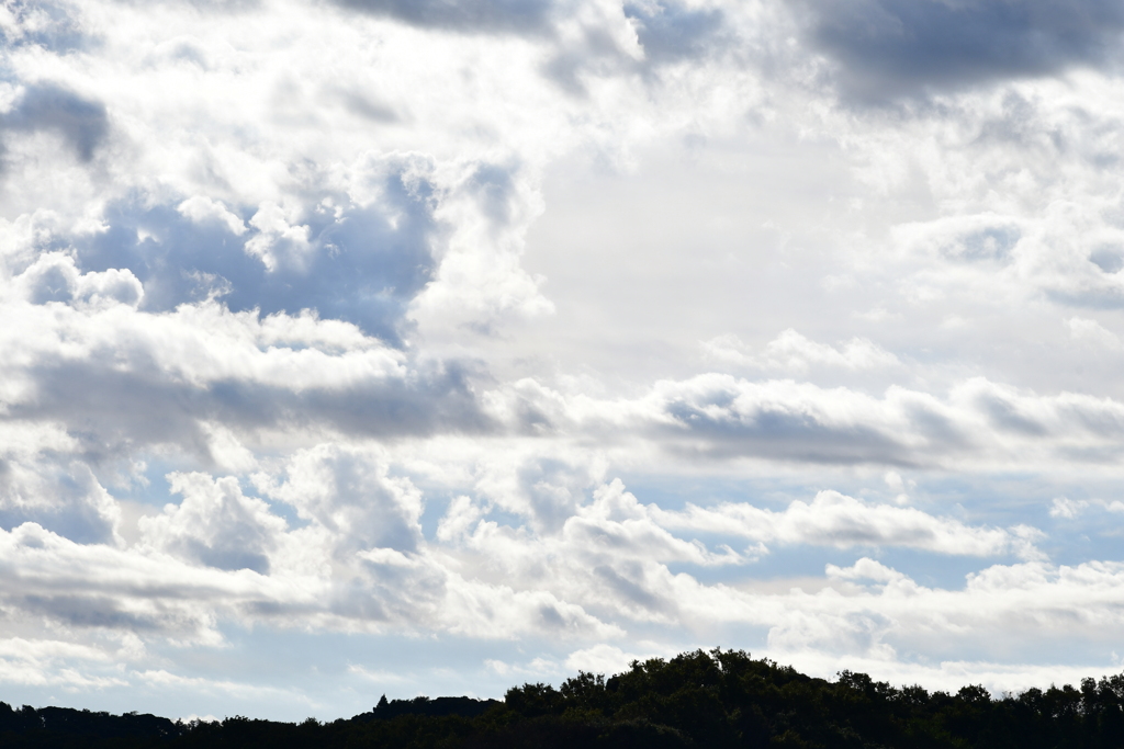 今朝の空