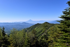 八ヶ岳からの富士山