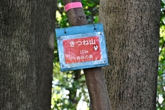 千葉の山歩き2025-4
