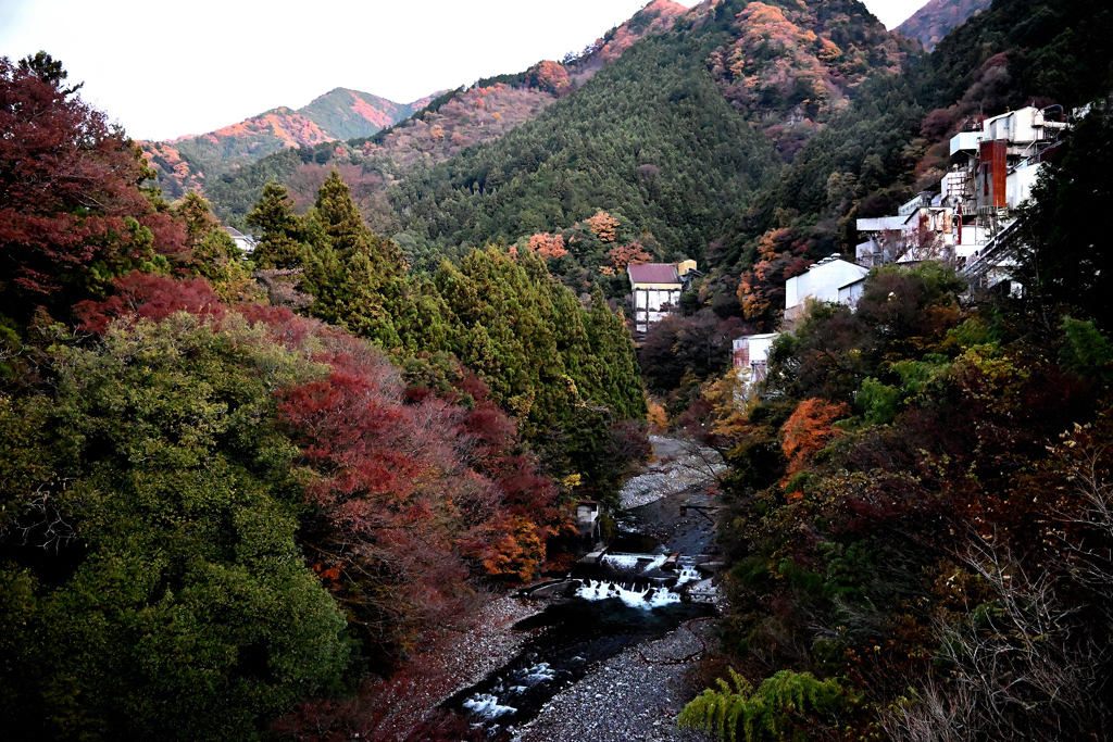 朝の奥多摩