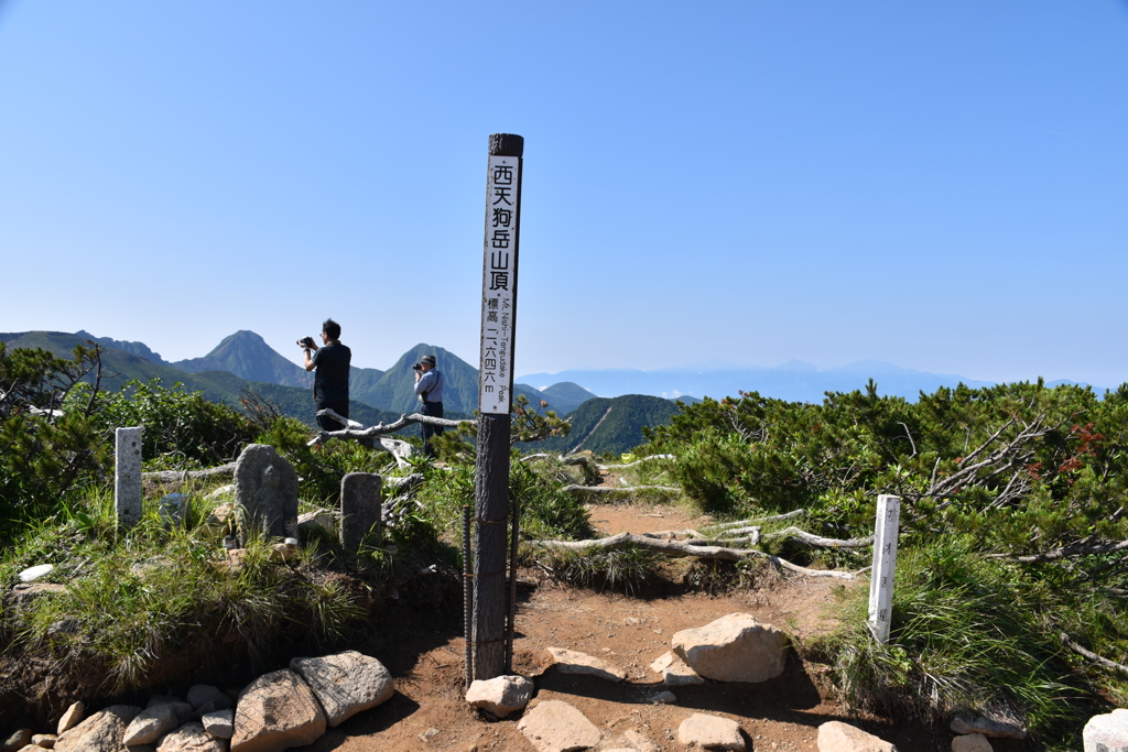 山頂 2019 (4)