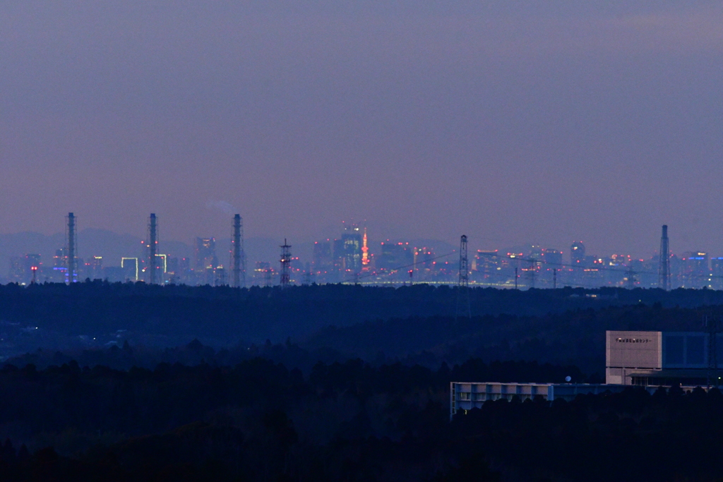 夜景遠望