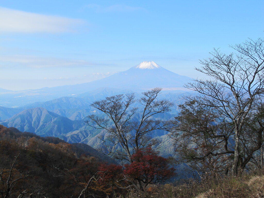 丹沢　檜洞丸からの富士山