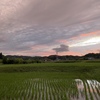 夕散歩