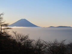 櫛形山からの富士山