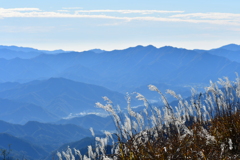 秋の山