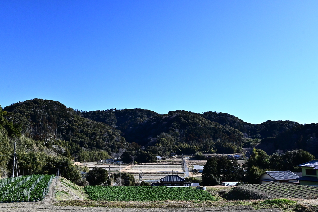 山里の風景：千葉の山歩き2025-15