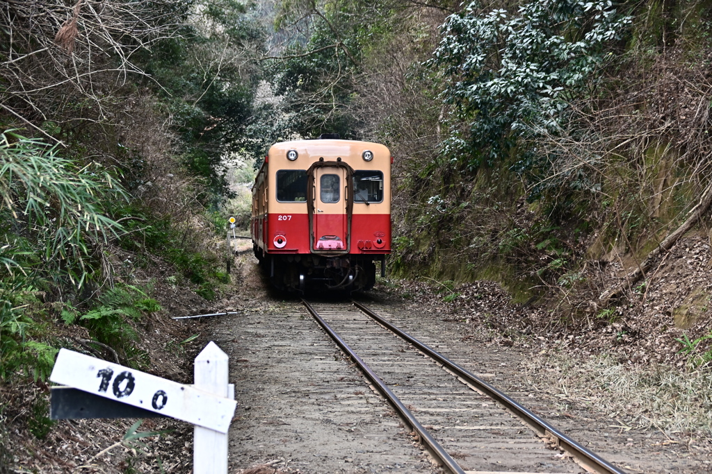 小湊鉄道さと山ウオーク 44