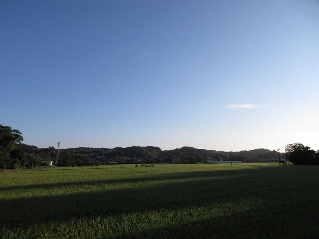 散歩中2