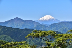 高尾山から富士