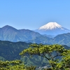 高尾山から富士