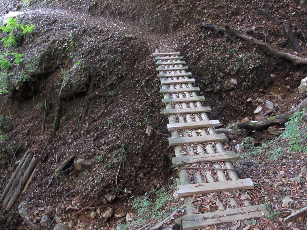 2016 丹沢　檜洞丸 1