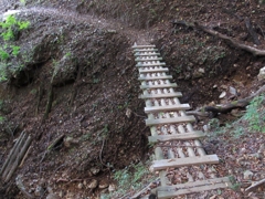 2016 丹沢　檜洞丸 1