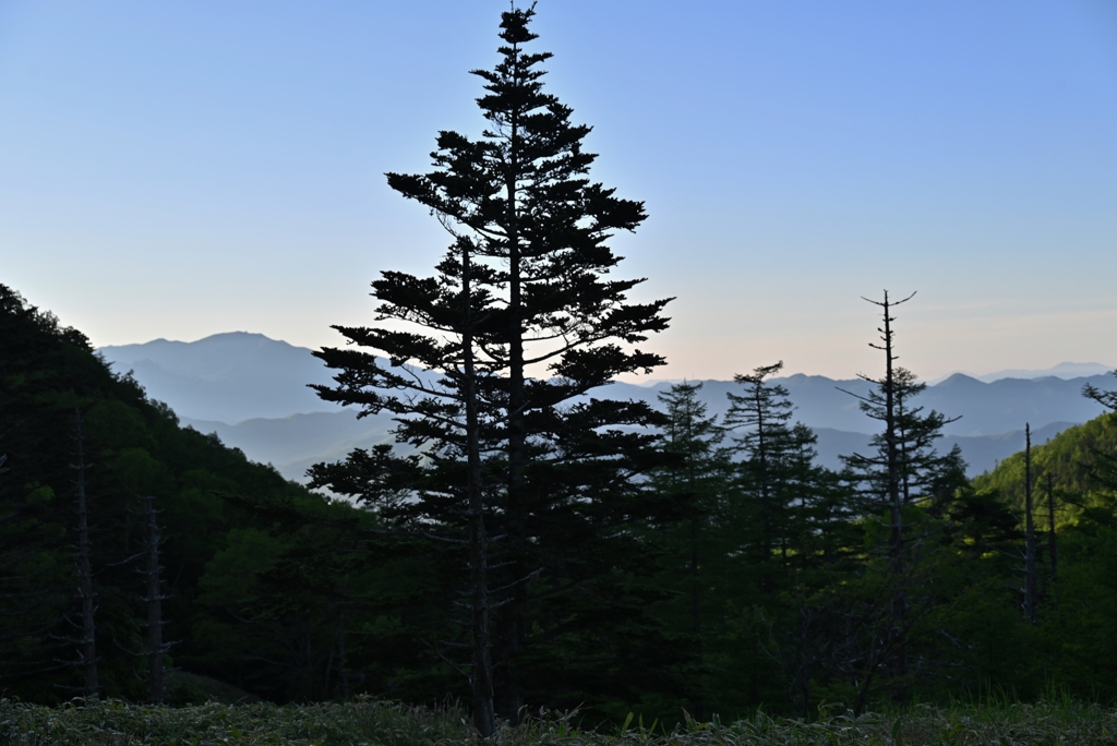 清里高原の朝