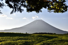 朝霧高原の富士 2