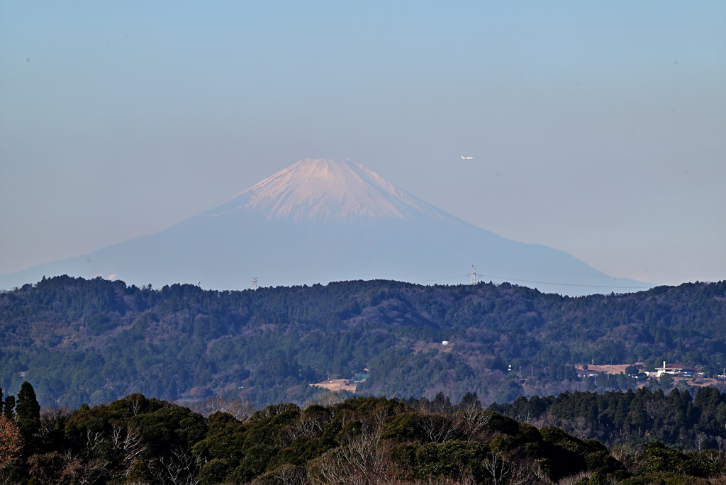 朝富士