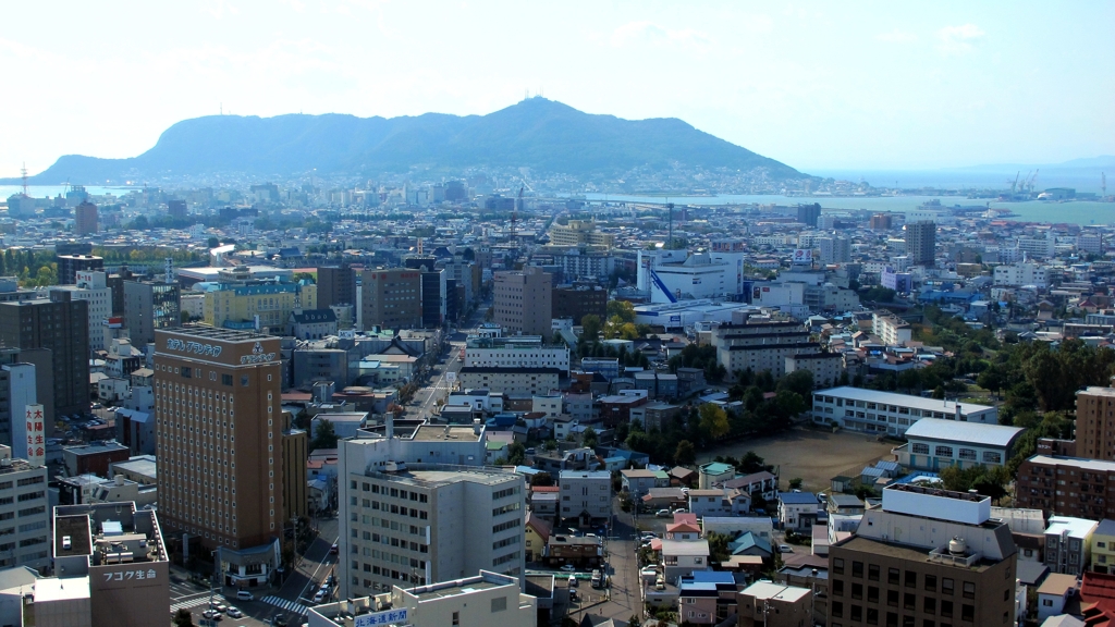 旅情 2011