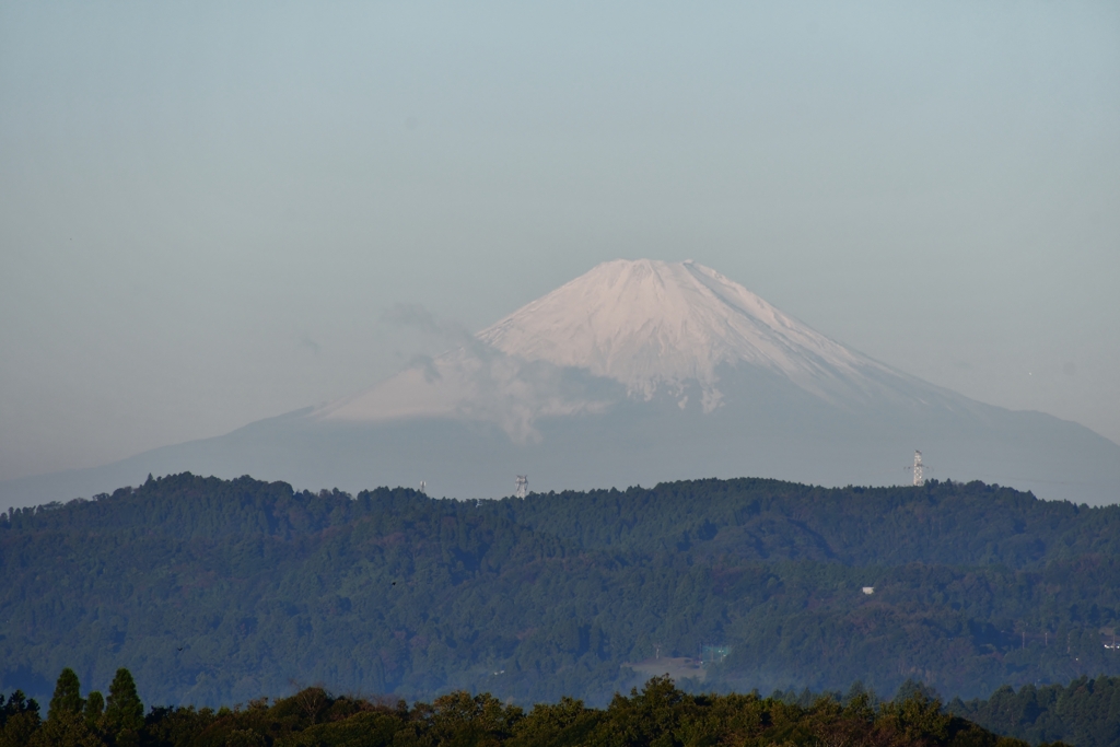 朝富士