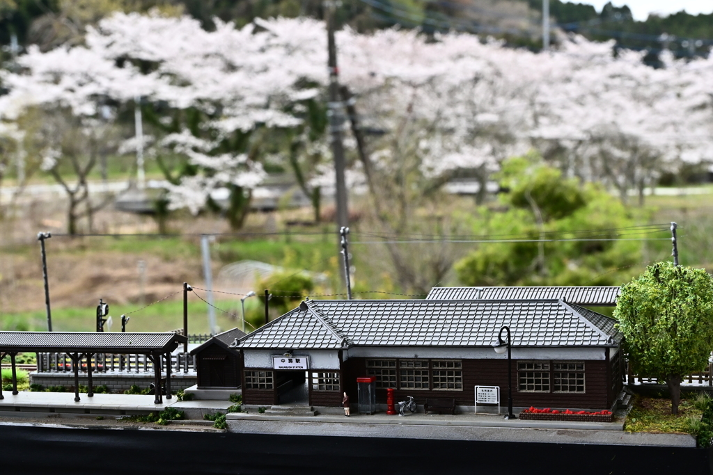 お花見のできる駅