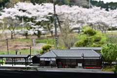 お花見のできる駅
