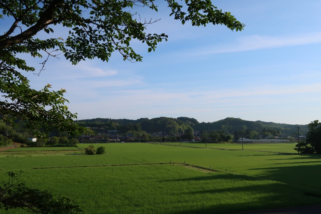 散歩道2024-43