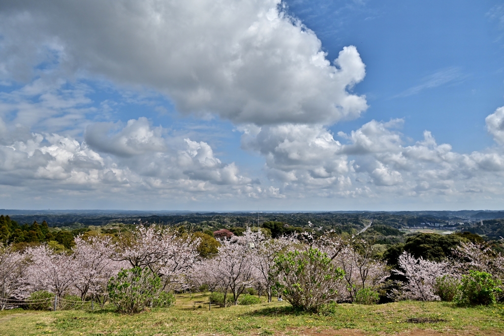 山の上の公園