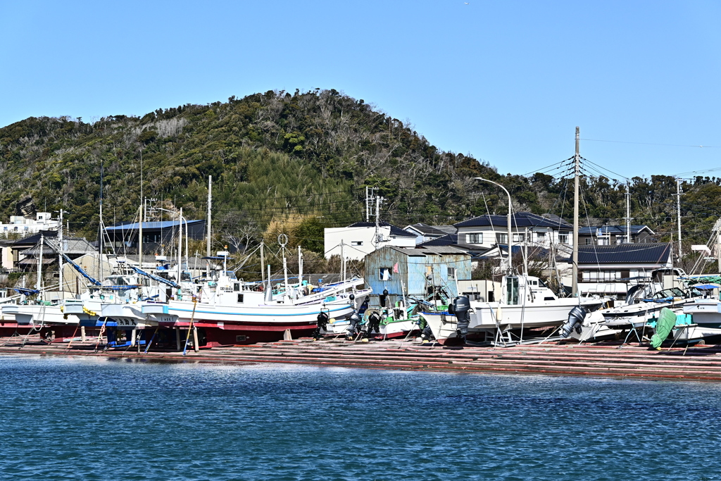 漁港と山