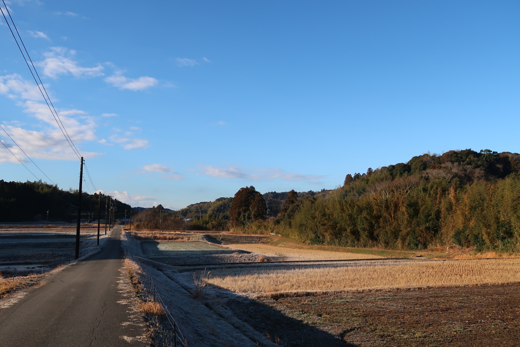 散歩道2024-8