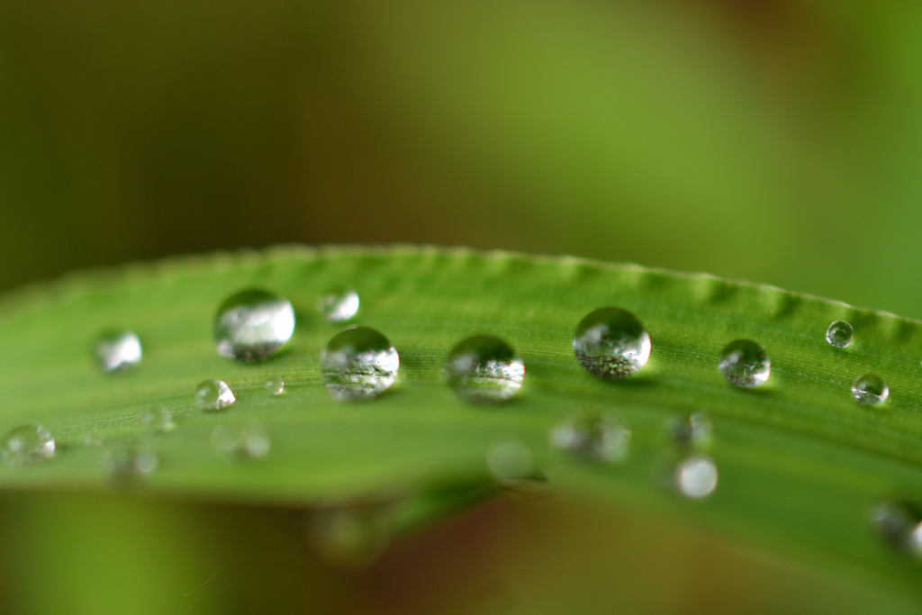 雨あがり