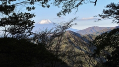 2016 丹沢　檜洞丸 3