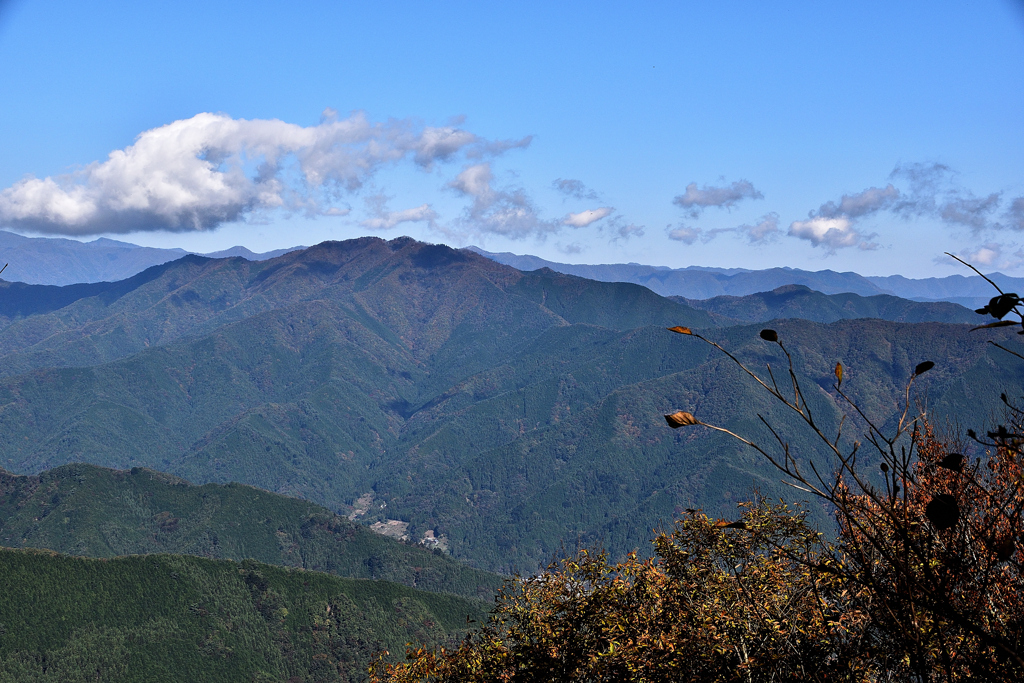 奥多摩の山