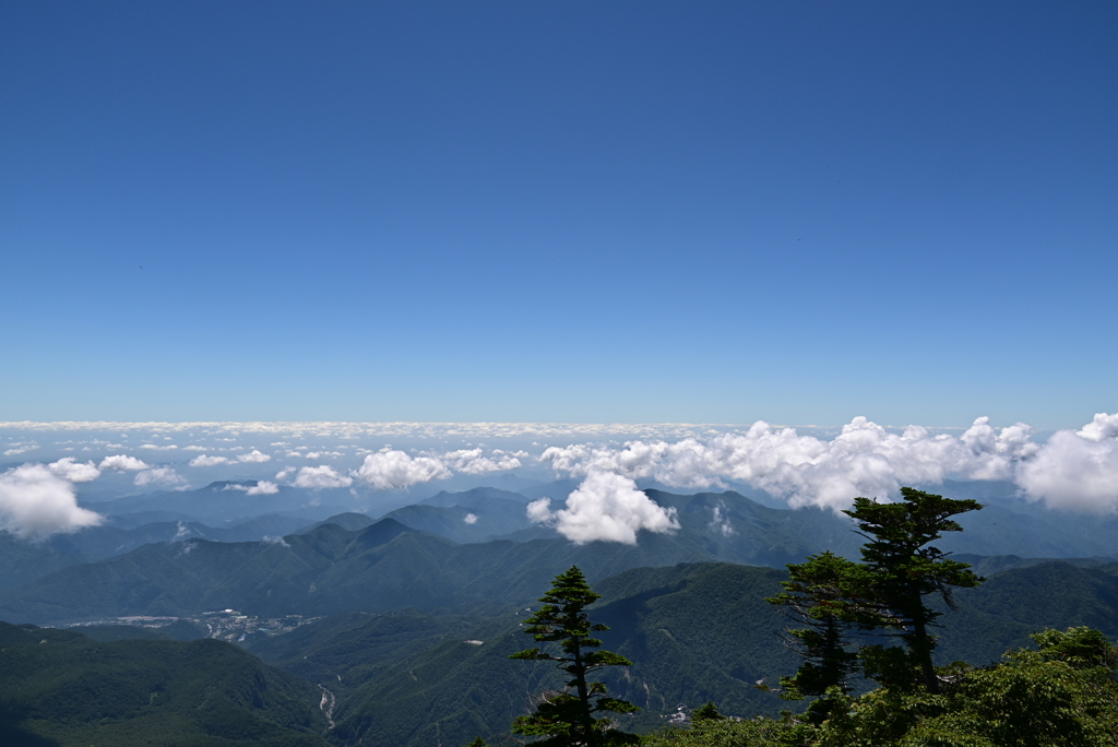 夏の空