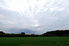 散歩道 30