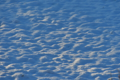 田んぼの雪