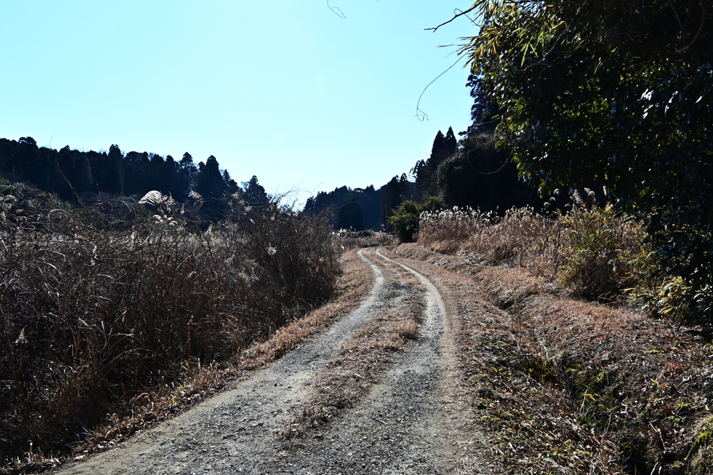 千葉の山歩き2025-5