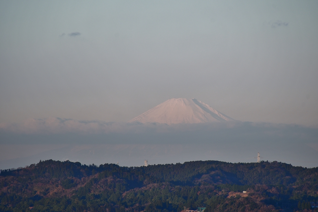 朝富士 5
