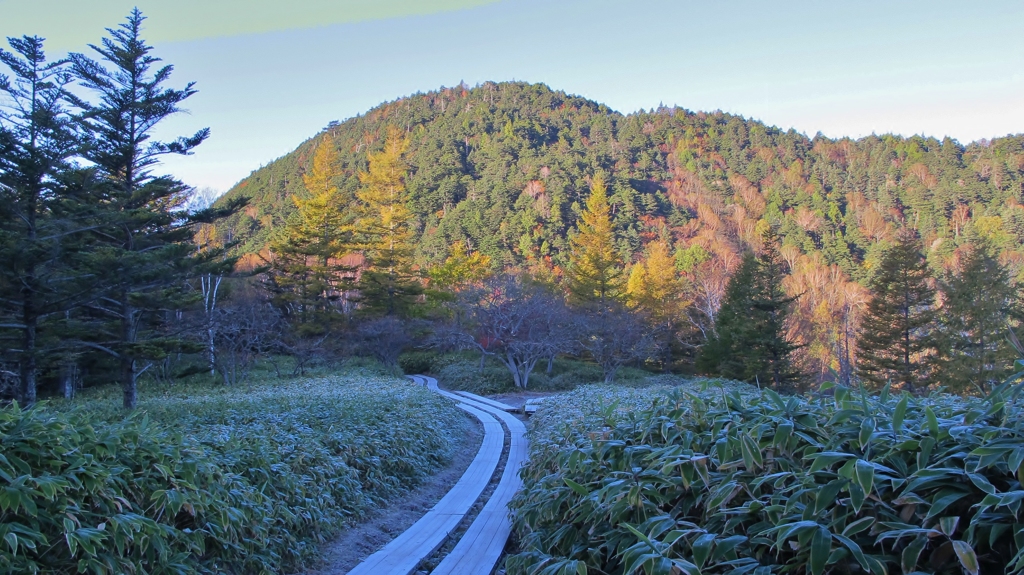 2016 奥日光 太郎山 2