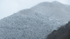 2016 生籐山 3