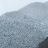 2016 生籐山 3