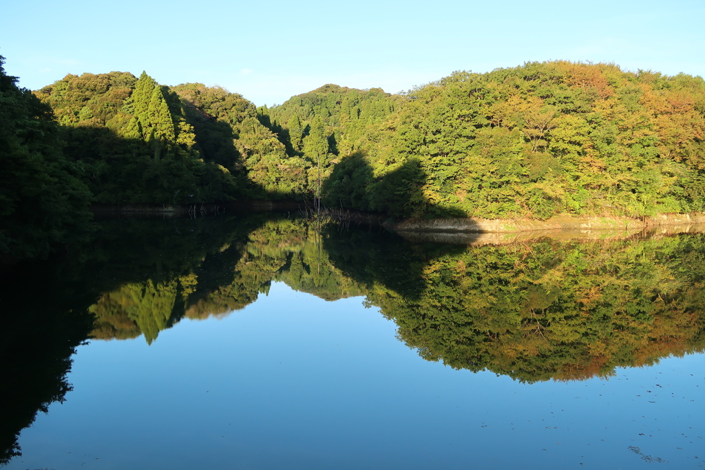 散歩道 166