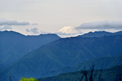 両神山からの富士
