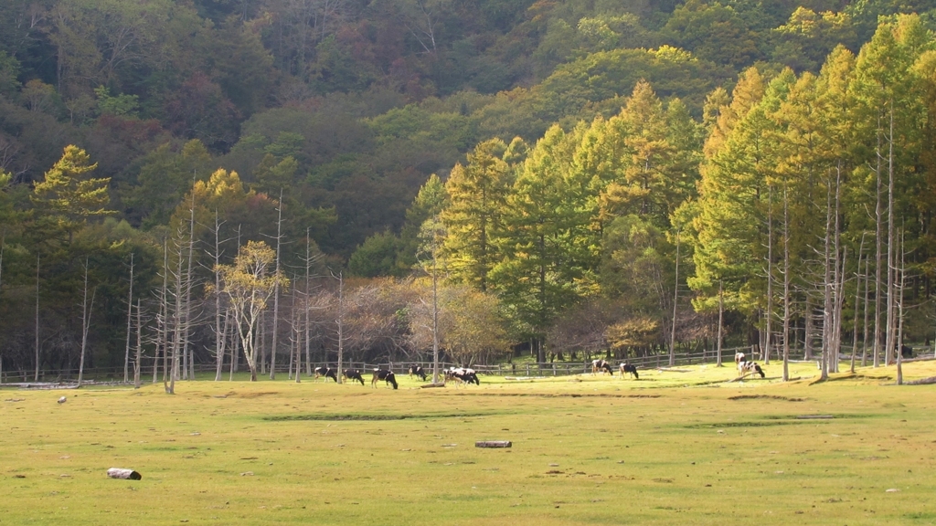 2016 奥日光 太郎山 8