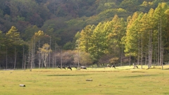 2016 奥日光 太郎山 8