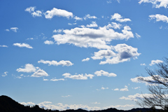 2月の空