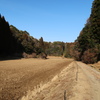 冬の午後散歩 8