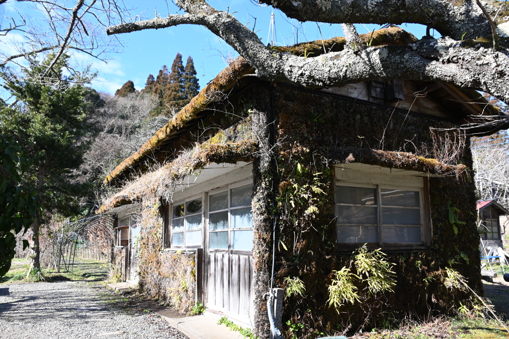 小湊鉄道さと山ウオーク 39