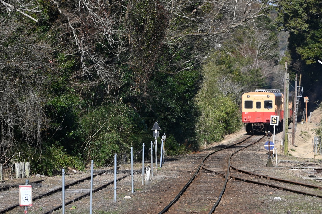 小湊鉄道に乗って 7