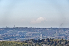 千葉の山歩き2025-2