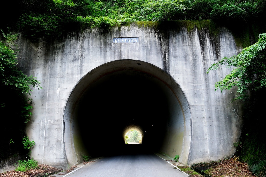 散歩道 117