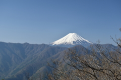 秀麗富嶽：笹子雁ヶ原摺山